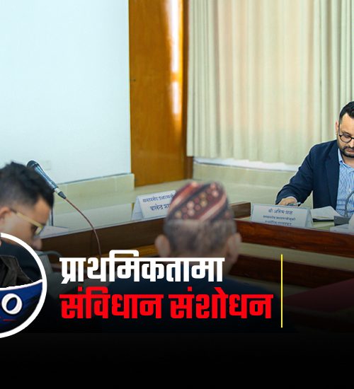 संविधान संशोधनमा उल्लेख्य काम, पर्याप्त शंका